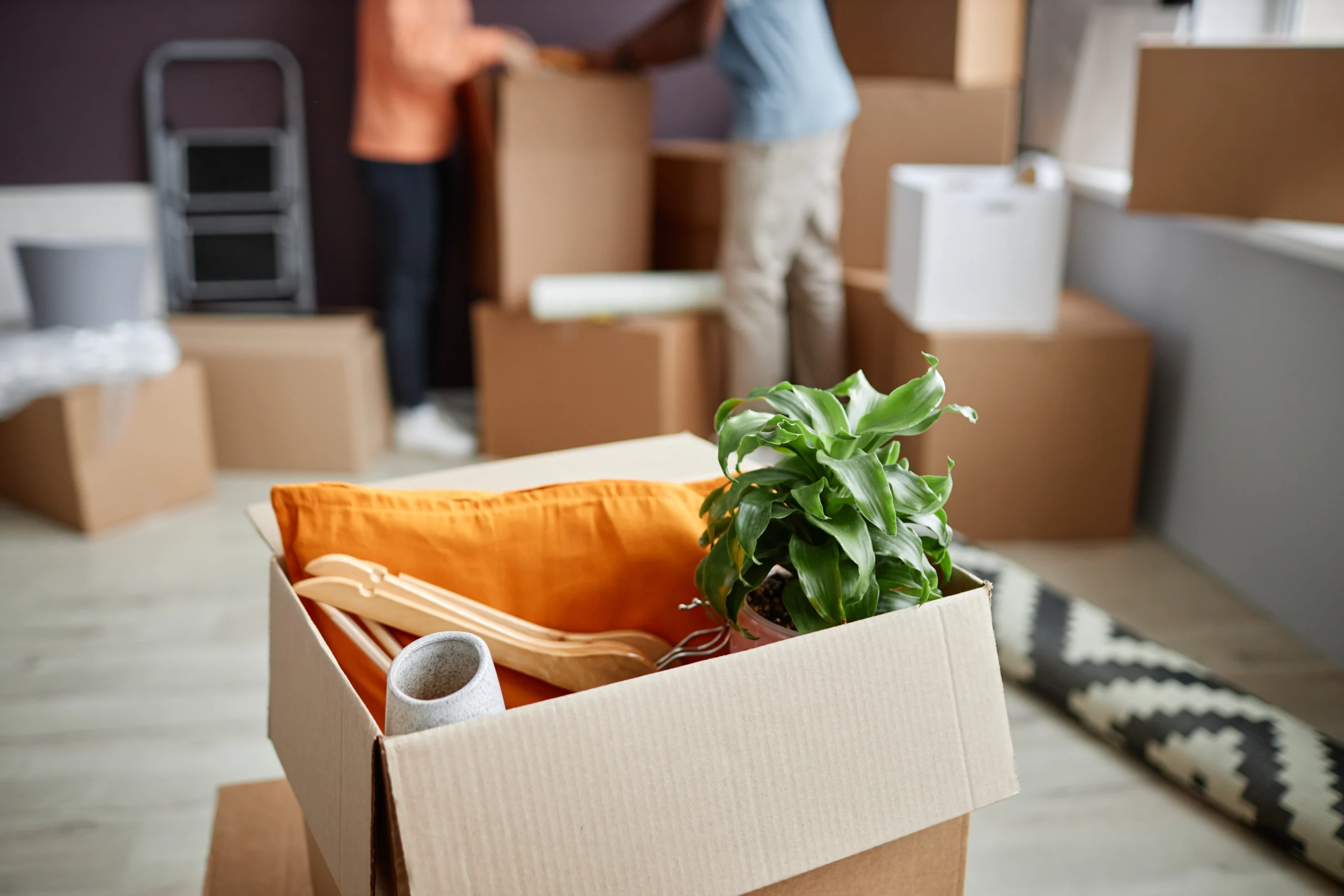 Domestic things packing in boxes